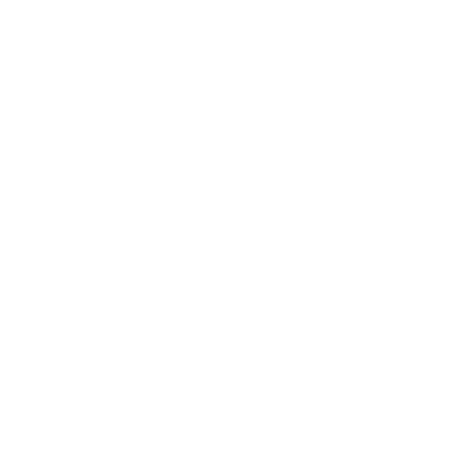Mountain View White Logo.png